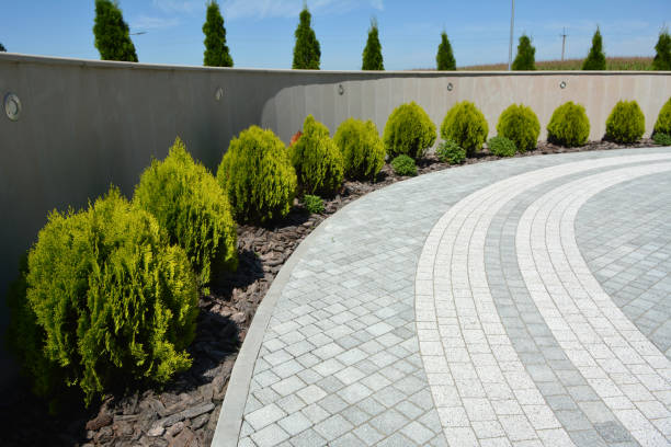 Best Driveway Paver Repair  in Timberne, LA